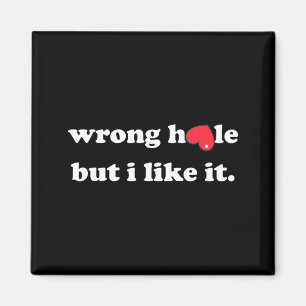 Wrong Hole But I Like It Funny Quote Meme  Magnet