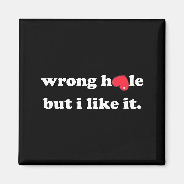 Wrong Hole But I Like It Funny Quote Meme  Magnet (Front)