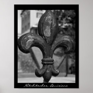 Wrought Iron Fleur de lis Natchitoches Poster