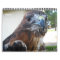 WSU Raptor Club 2012 Calendar