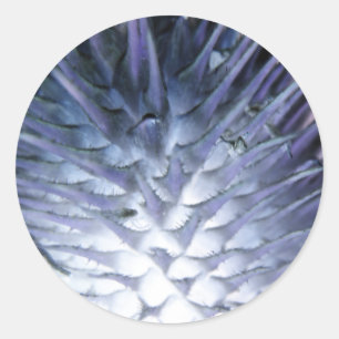 Wuld Grass Ice Princess Sticker