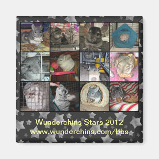 Wunderchins 2012 magnet