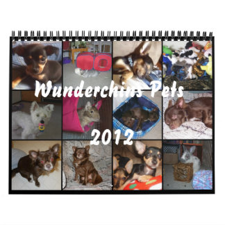 Wunderchins choie le calendrier 2012