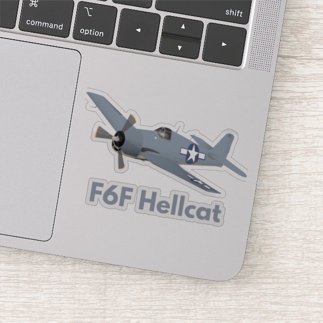 WW2 F6F Hellcat Airplane (Detail)