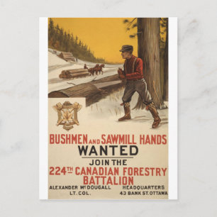 WW I ~ 224th Canadian Forestry Battalion 1915 Postcard