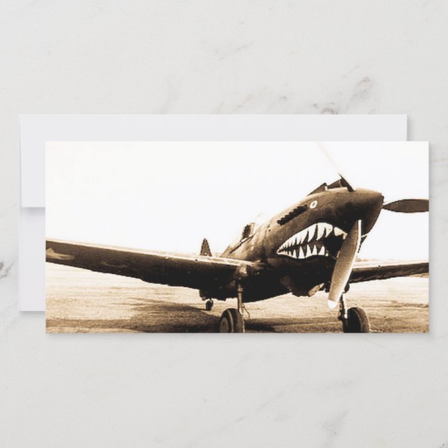 WWII Flying Tigers Curtiss P-40 Fighter Plane (Front)