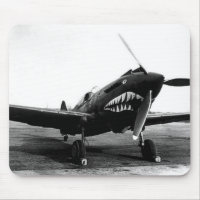 WWII Flying Tigers Curtiss P-40 Fighter Plane