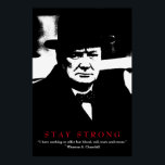WWII Quote Winston Churchill Motivational Pop Art Poster<br><div class="desc">Freedom & Courage Motivational  Eagles Images - Fearless American Bald Eagle - Our greatest glory is not in never falling but in rising every time we fall.</div>