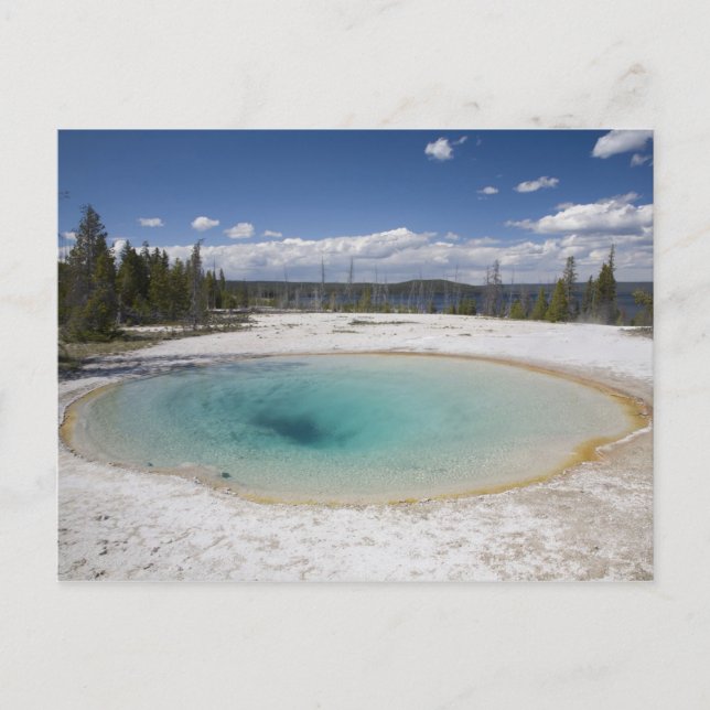 WY, Yellowstone National Park, West Thumb Geyser Postcard (Front)