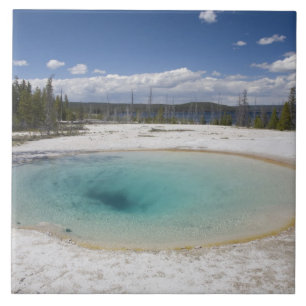 WY, Yellowstone National Park, West Thumb Geyser Tile