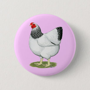 Wyandotte: Columbian Hen 2 Inch Round Button
