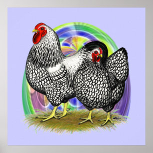 Wyandotte:  Easter Egg Pair Poster
