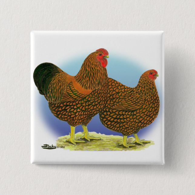 Wyandotte:  Golden-laced Pair 2 Inch Square Button (Front)