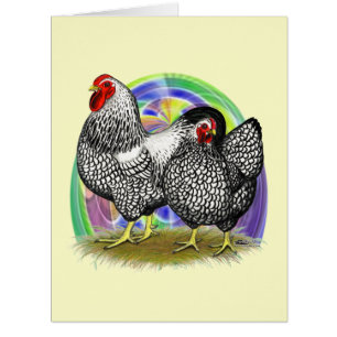 Wyandotte : paire d'oeufs de Pâques