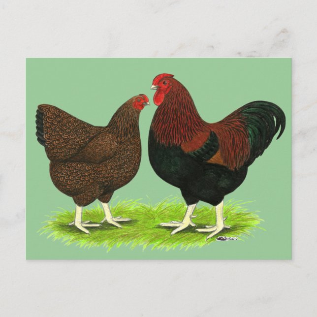Wyandotte:  Partridge Pair Postcard (Front)