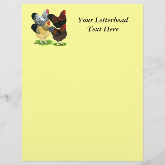 Wyandotte:  Rooster Assortment (Front)