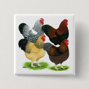 Wyandotte:  Rooster Assortment 2 Inch Square Button
