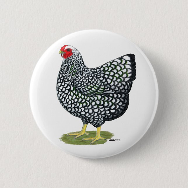 Wyandotte:  Silver-laced Hen 2 Inch Round Button (Front)