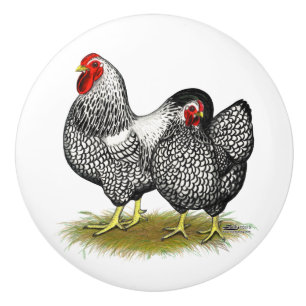 Wyandotte: Silver Pair Ceramic Knob