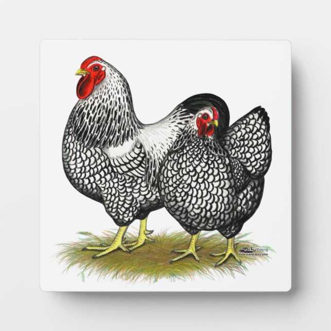 Wyandotte:  Silver Pair Plaque (Front)