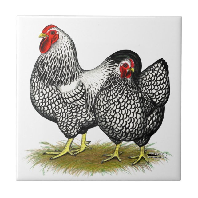 Wyandotte:  Silver Pair Tile (Front)