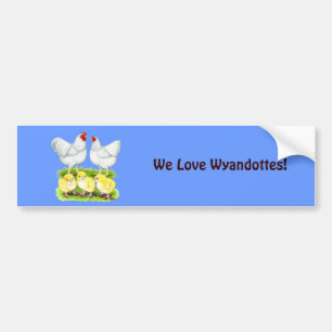 Wyandotte White Chicken Family Bumper Sticker
