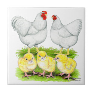 Wyandotte White Chicken Family Tile