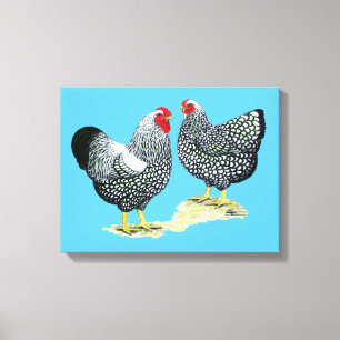 Wyandottes Silver-laced Pair Canvas Print