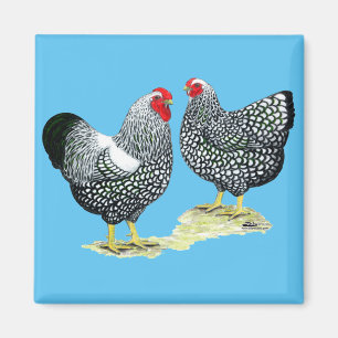 Wyandottes Silver-laced Pair Magnet