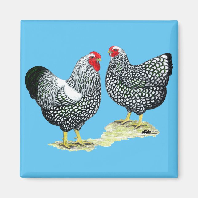 Wyandottes Silver-laced Pair Magnet (Front)