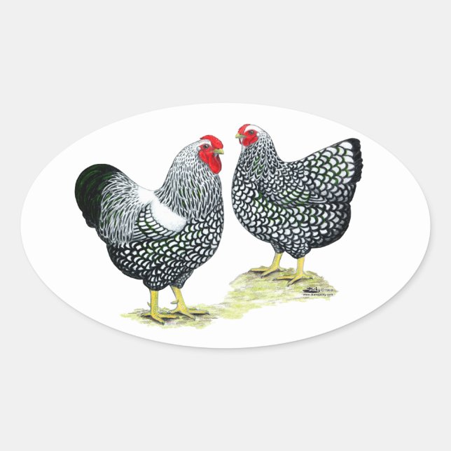 Wyandottes Silver-laced Pair Oval Sticker (Front)