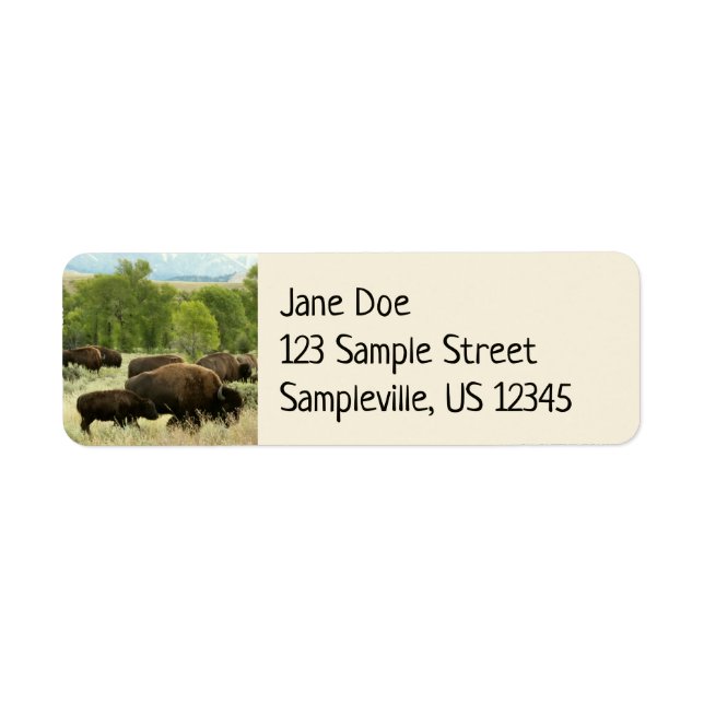 Wyoming Bison (Front)