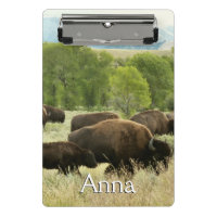 Wyoming Bison