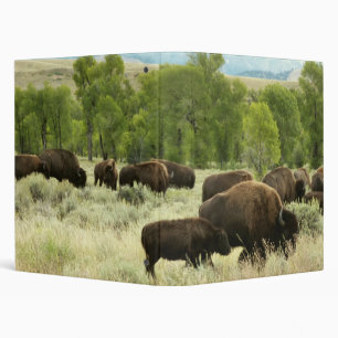 Wyoming Bison Nature Animal Photography Binder