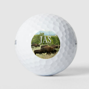 Wyoming Bison Nature Animal Photography Golf Balls
