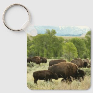 Wyoming Bison Nature Animal Photography Keychain