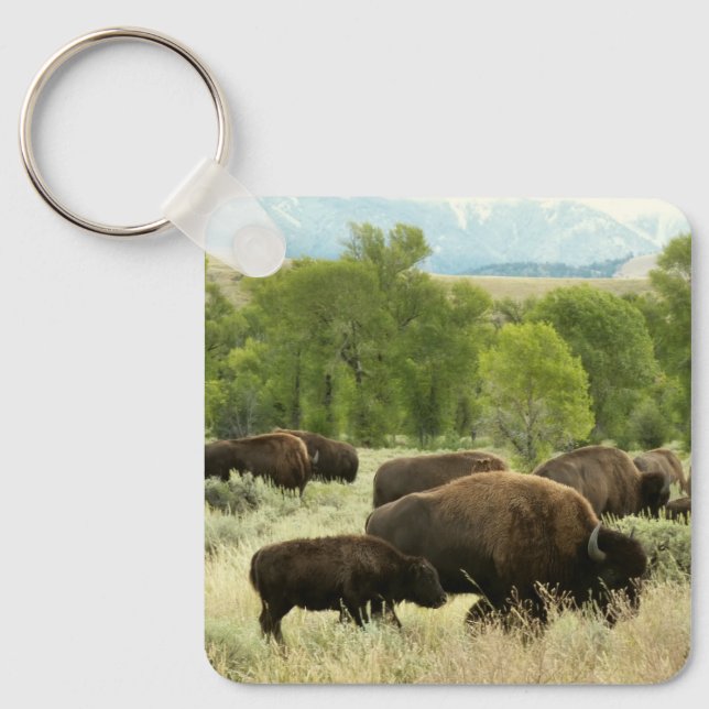 Wyoming Bison Nature Animal Photography Keychain (Front)