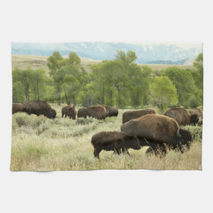 Wyoming Bison Nature Animal Photography Kitchen Towel