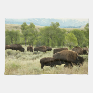 Wyoming Bison Nature Animal Photography Kitchen Towel