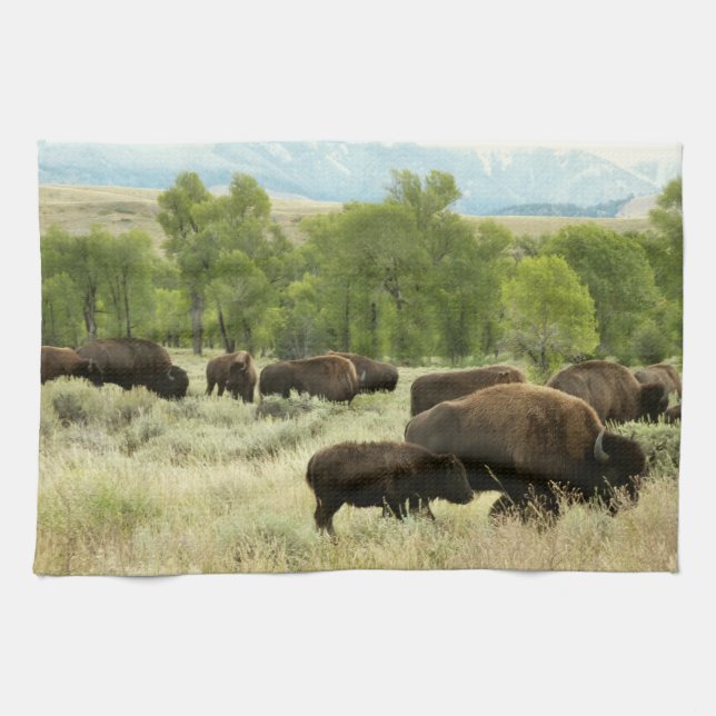 Wyoming Bison Nature Animal Photography Kitchen Towel (Horizontal)