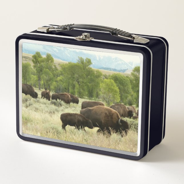 Wyoming Bison Nature Animal Photography Metal Lunch Box (Front)