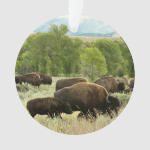 Wyoming Bison Nature Animal Photography Ornament