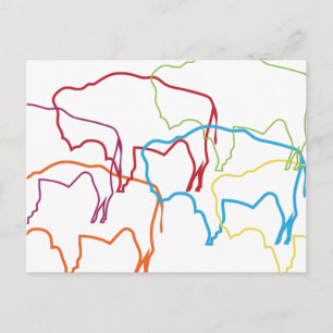 wyoming bison pride blur postcard