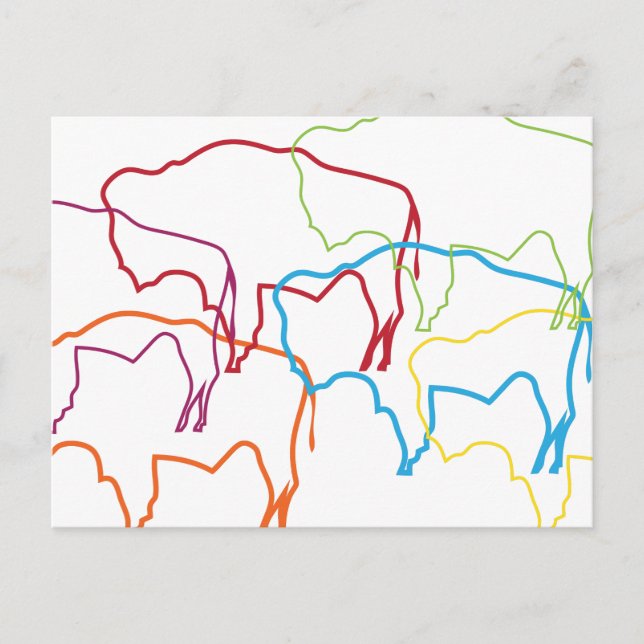 wyoming bison pride blur postcard (Front)