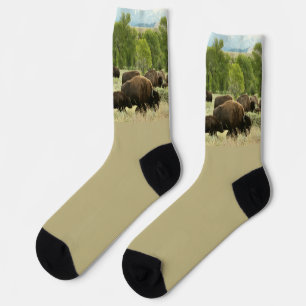 Wyoming Bison Socks
