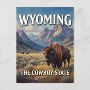 Wyoming Bison Western Travel  Postcard