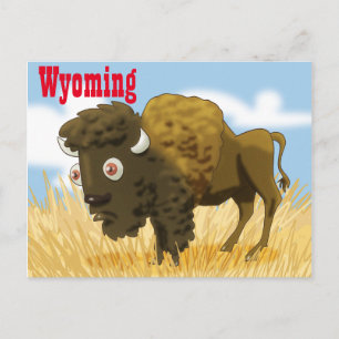 Wyoming Buffalo Postcard
