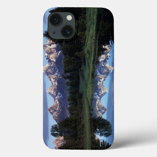 Wyoming, Grand Teton National Park 4 Case-Mate iPhone Case (Back)