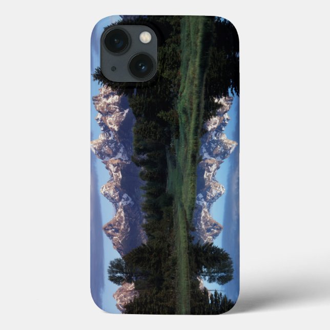 Wyoming, Grand Teton National Park 4 Case-Mate iPhone Case (Back)