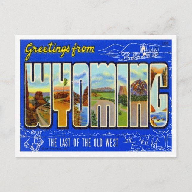 Wyoming Greetings From US States Postcard (Front)